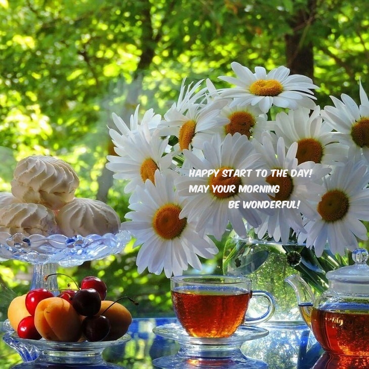 Happy start to the day! May your morning be wonderful!