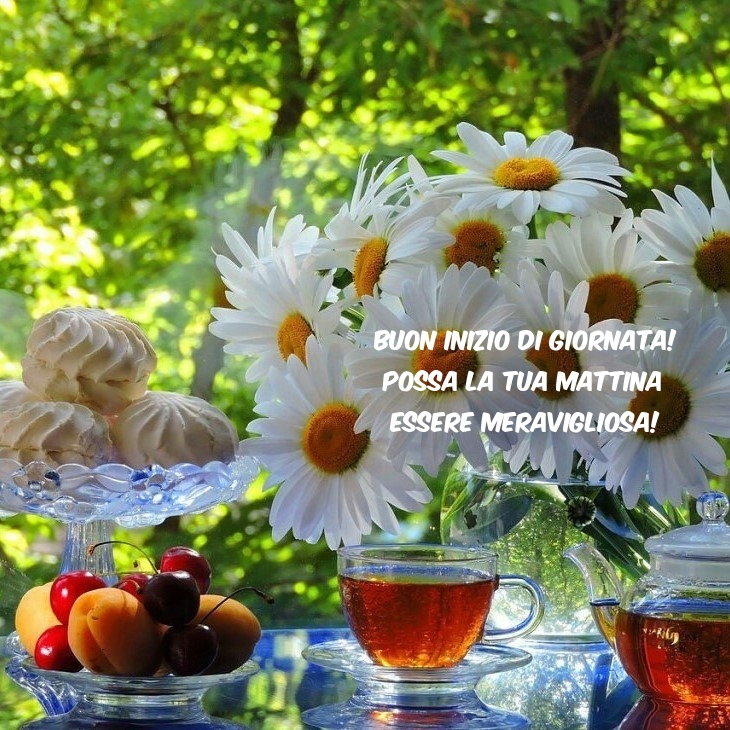 Buon inizio di giornata! Possa la tua mattina essere meravigliosa!