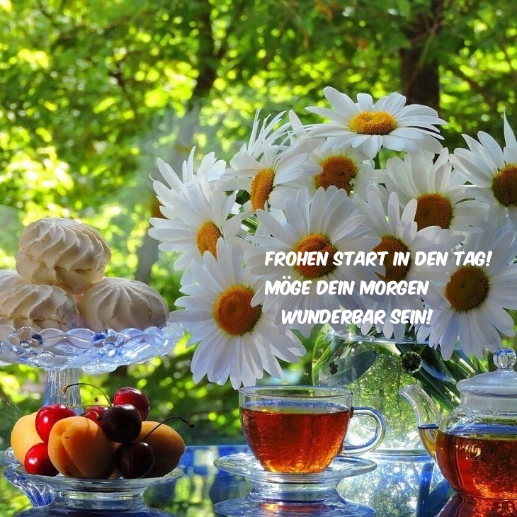 Frohen Start in den Tag! Möge dein Morgen wunderbar sein!