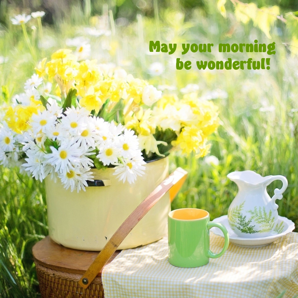 May your morning be wonderful!