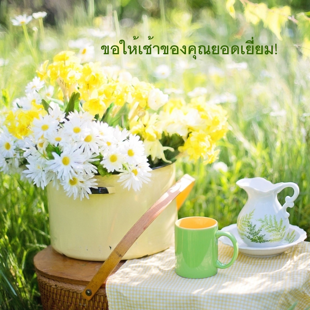 ขอให้เช้าของคุณยอดเยี่ยม!
