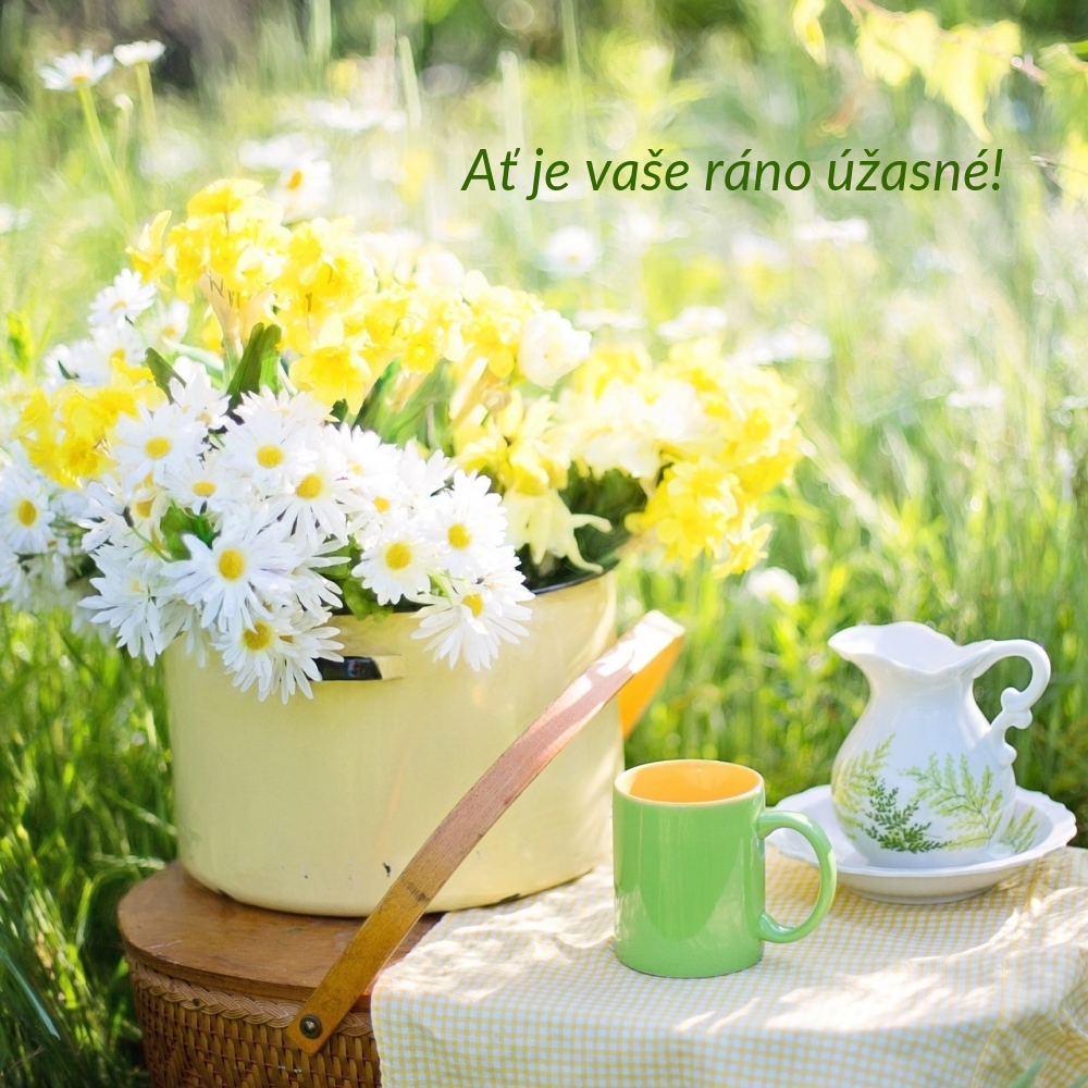 Ať je vaše ráno úžasné!