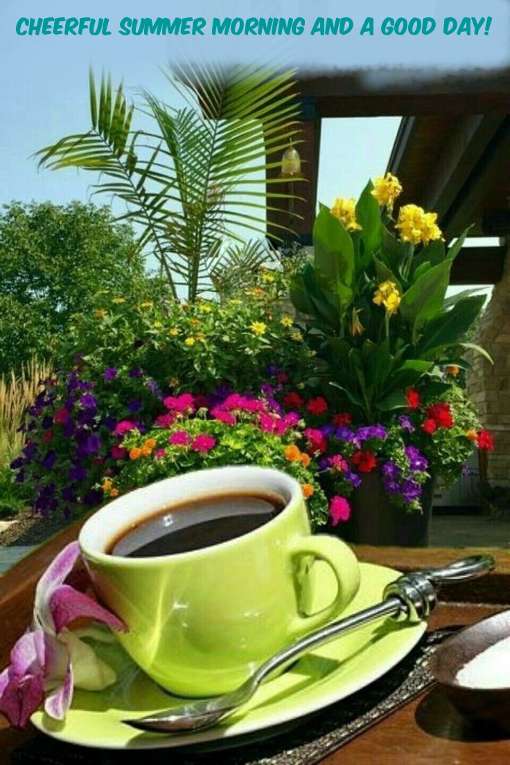 Cheerful summer morning and a good day!