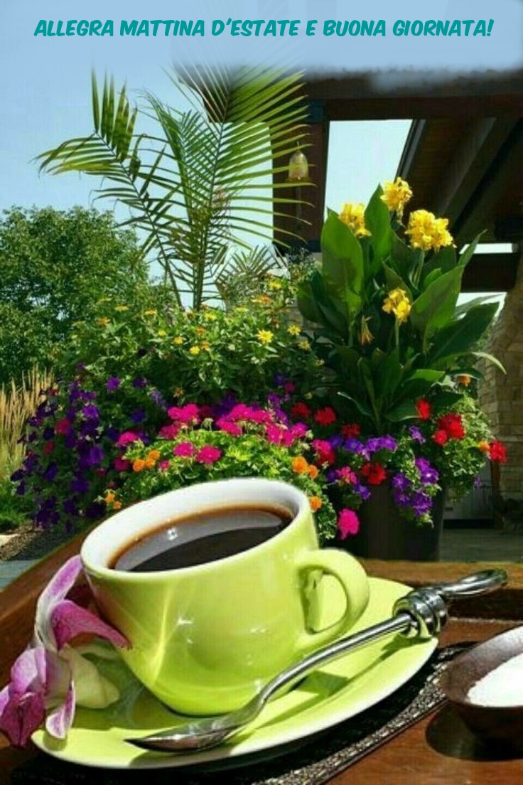 Allegra mattina d