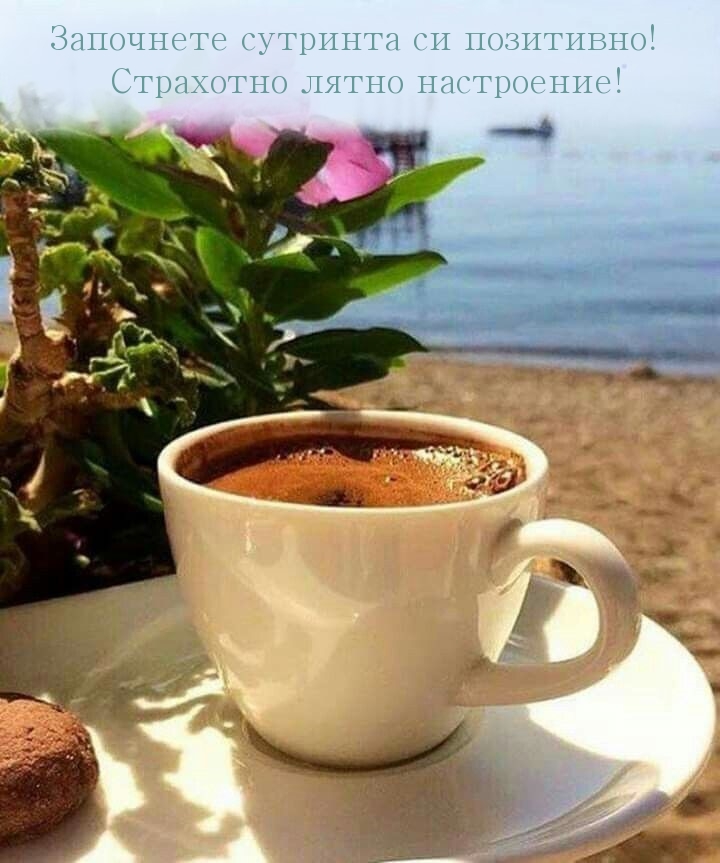 Започнете сутринта си позитивно! Страхотно лятно настроение!