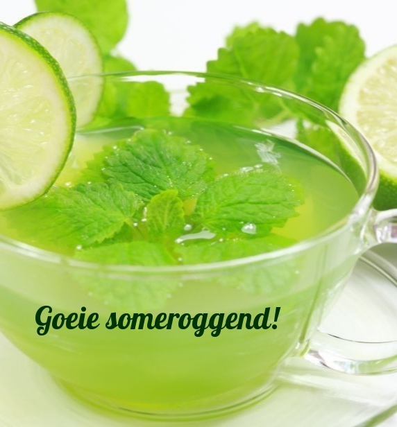 Goeie someroggend!