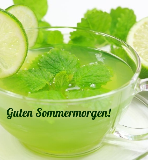 Guten Sommermorgen!