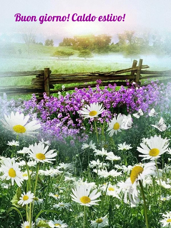 Buon giorno! Caldo estivo!