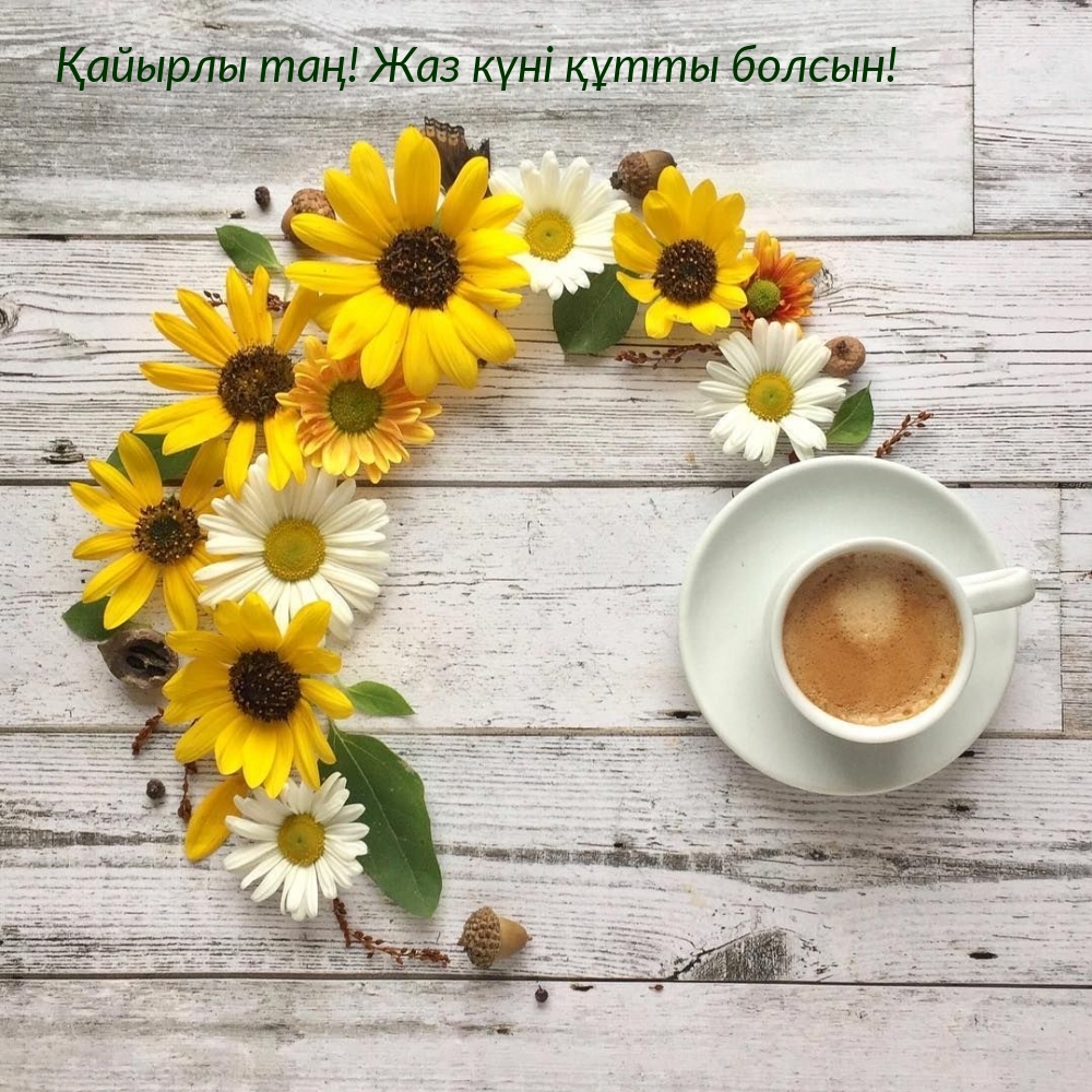 Қайырлы таң! Жаз күні құтты болсын!
