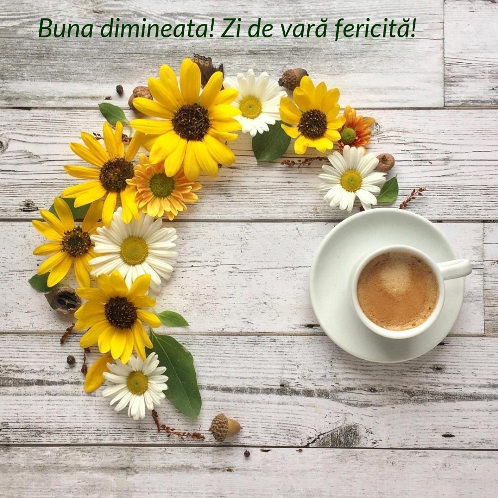 Buna dimineata! Zi de vară fericită!