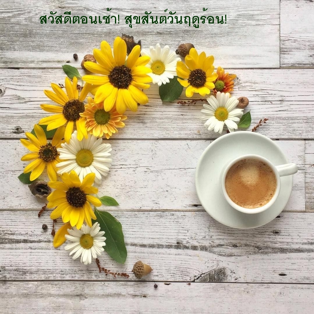 สวัสดีตอนเช้า! สุขสันต์วันฤดูร้อน!