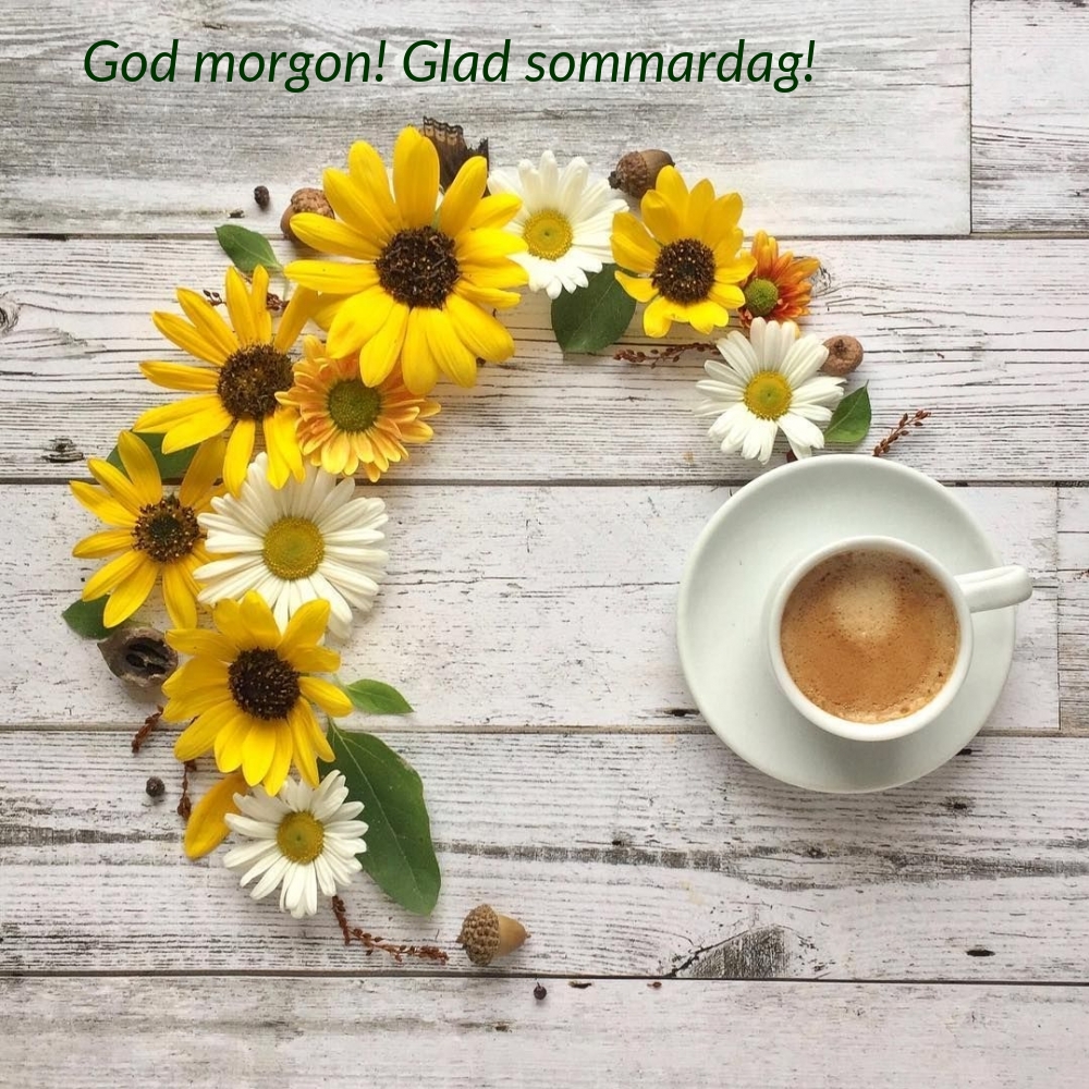 God morgon! Glad sommardag!