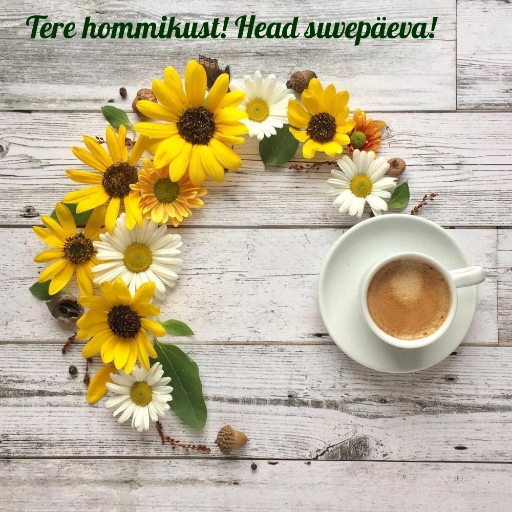 Tere hommikust! Head suvepäeva!
