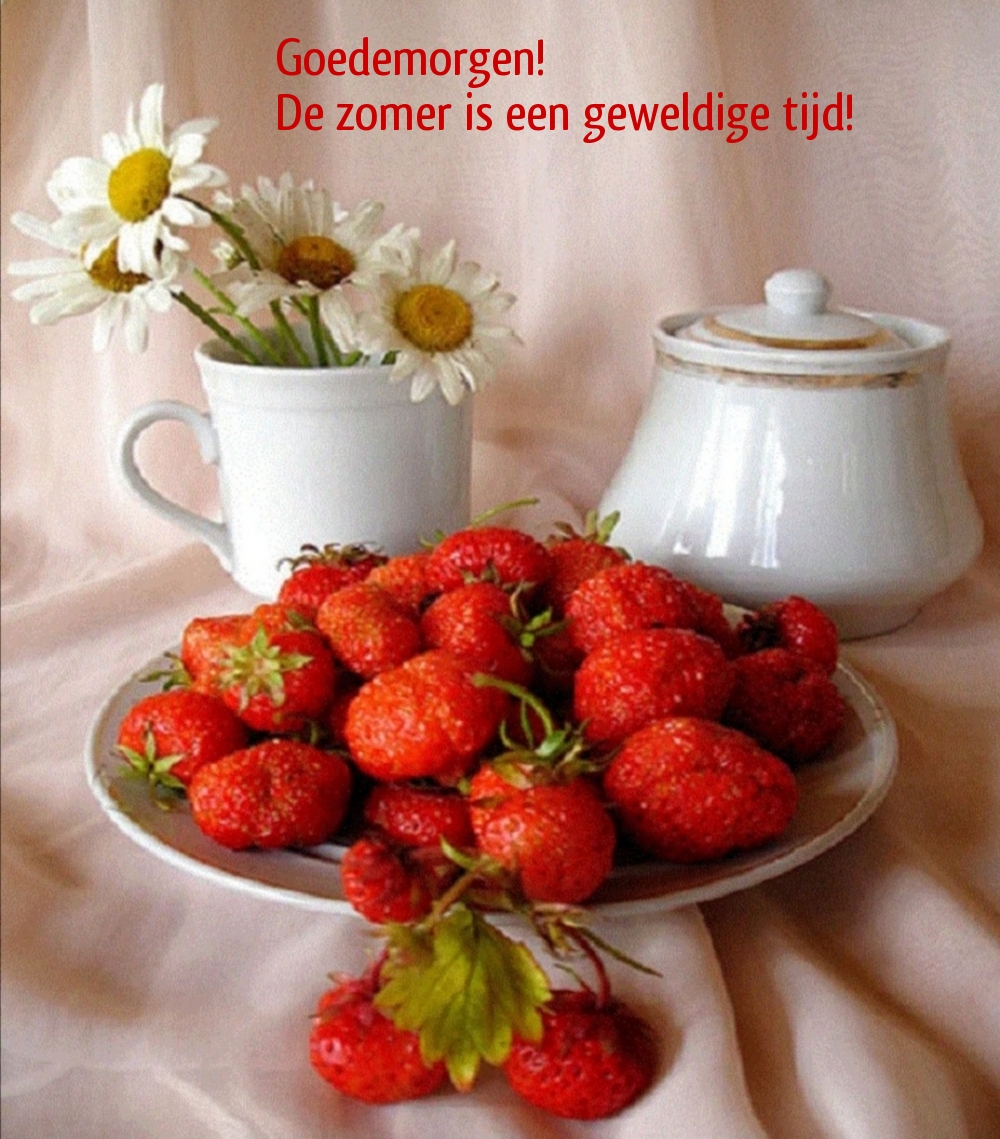 Goedemorgen! De zomer is een geweldige tijd!