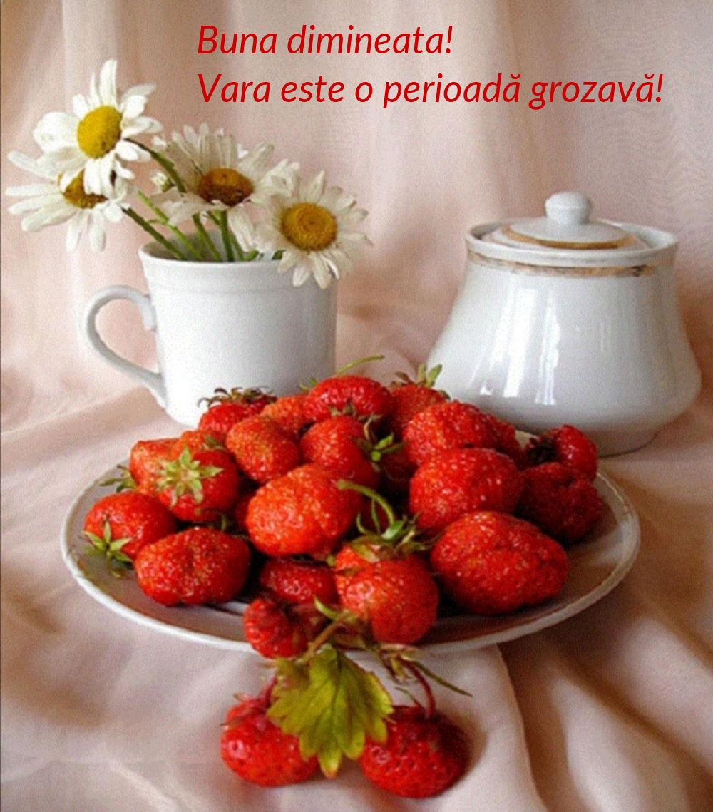 Buna dimineata! Vara este o perioadă grozavă!
