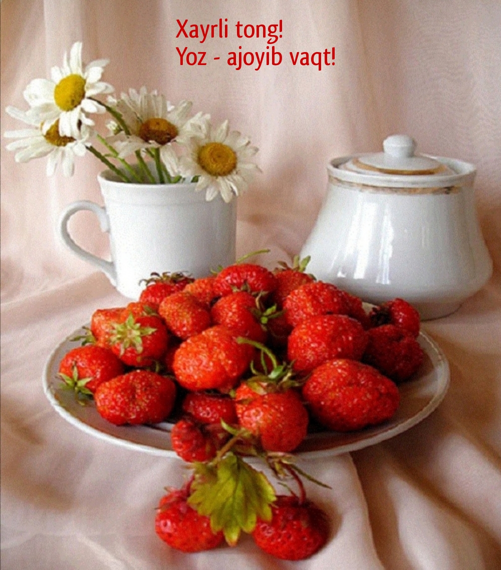 Xayrli tong! Yoz - ajoyib vaqt!