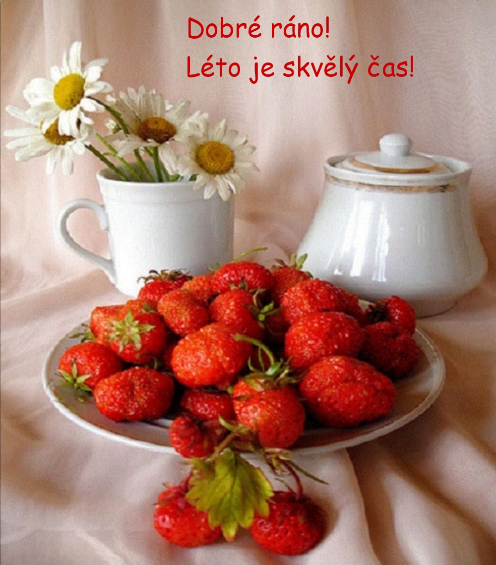 Dobré ráno! Léto je skvělý čas!
