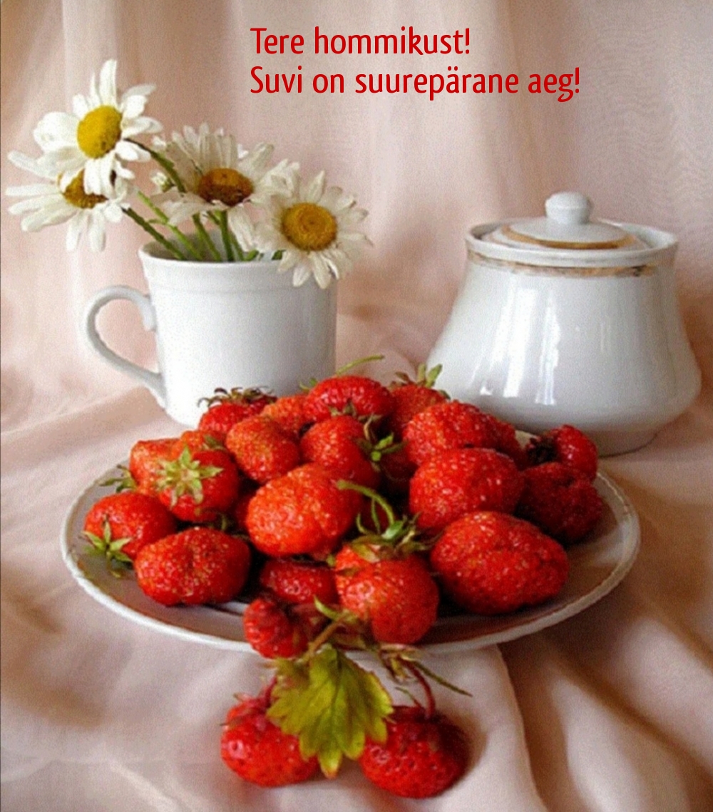 Tere hommikust! Suvi on suurepärane aeg!