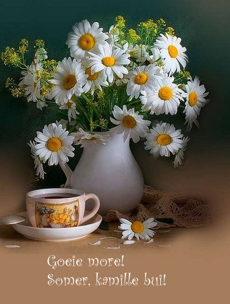 Goeie more! Somer, kamille bui!