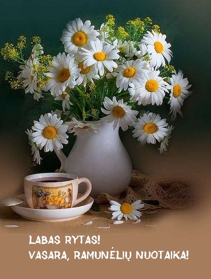 Labas rytas! Vasara, ramunėlių nuotaika!