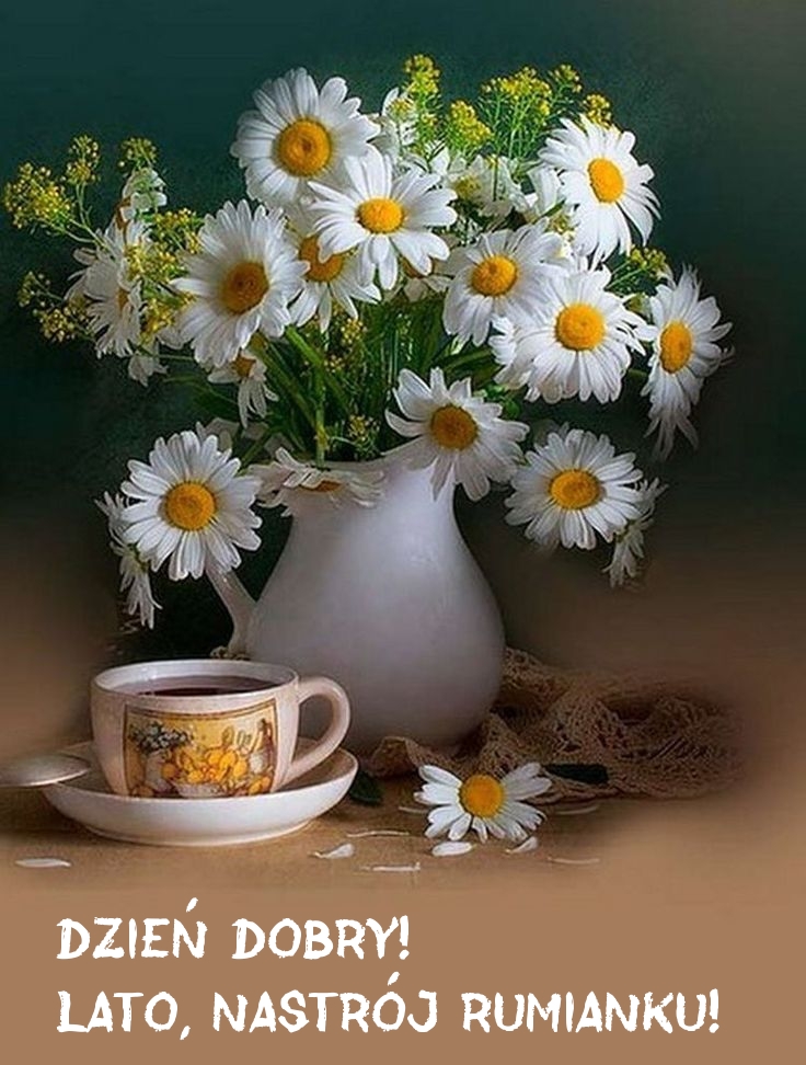 Dzień dobry! Lato, nastrój rumianku!
