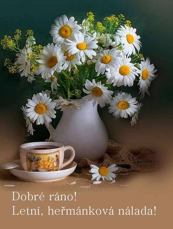 Dobré ráno! Letní, heřmánková nálada!