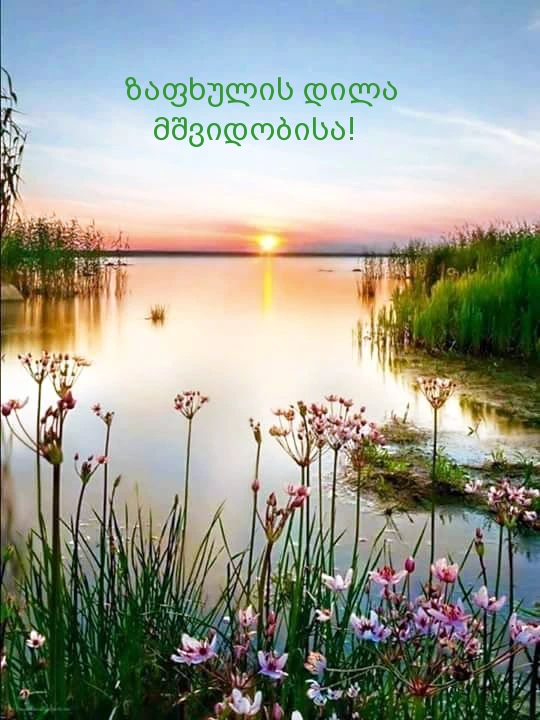 ზაფხულის დილა მშვიდობისა!