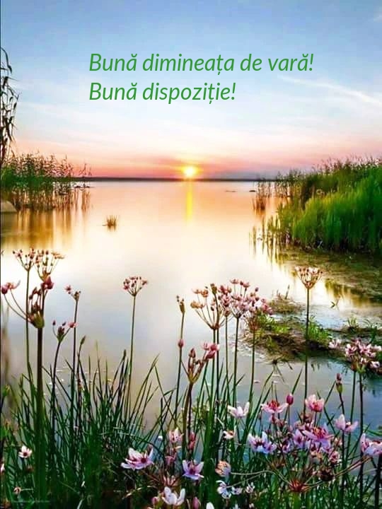 Bună dimineața de vară! Bună dispoziție!