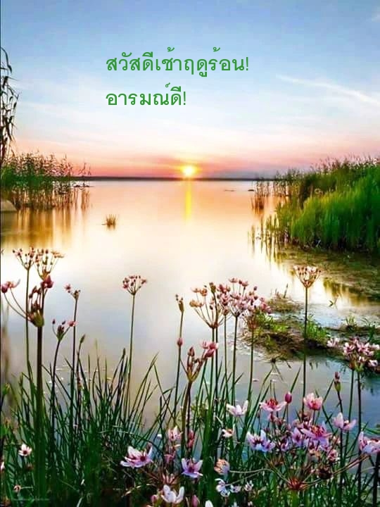 สวัสดีเช้าฤดูร้อน! อารมณ์ดี!