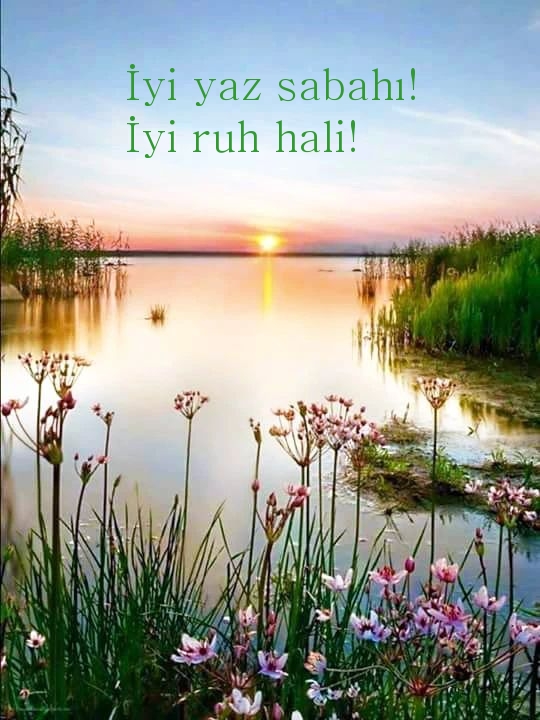 İyi yaz sabahı! İyi ruh hali!