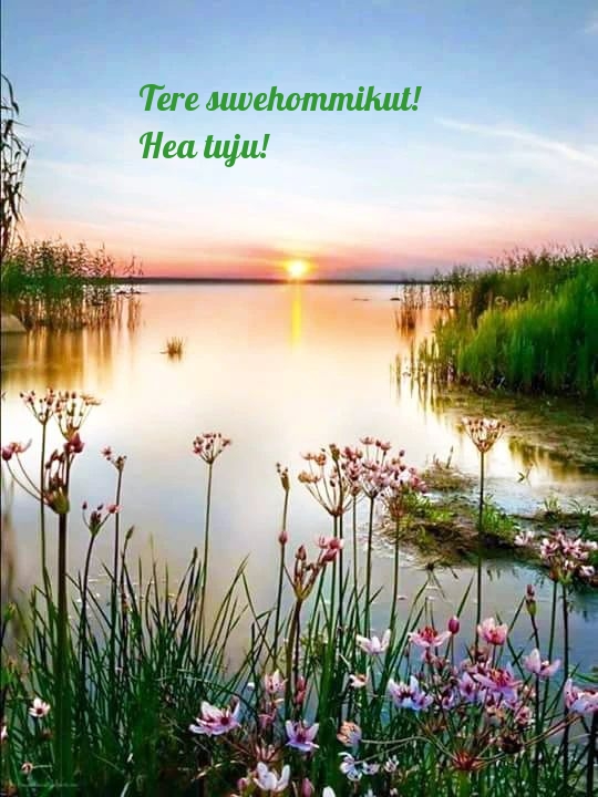 Tere suvehommikut! Hea tuju!
