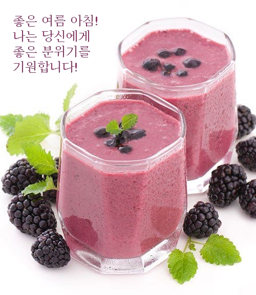 좋은 여름 아침! 나는 당신에게 좋은 분위기를 기원합니다!
