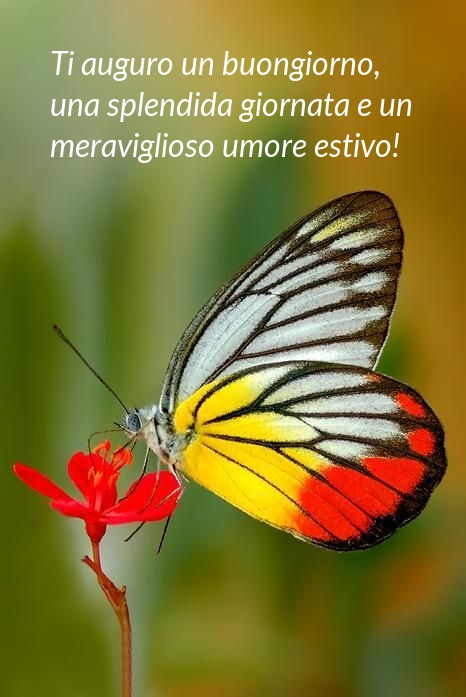 Ti auguro un buongiorno, una splendida giornata e un 