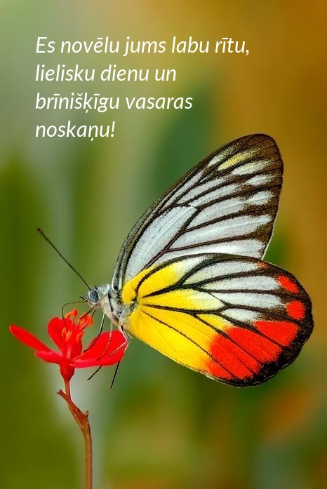 Es novēlu jums labu rītu