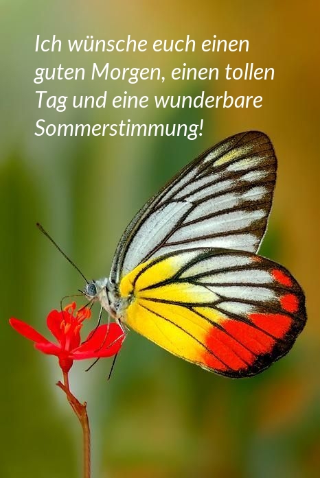 Ich wünsche euch einen guten Morgen