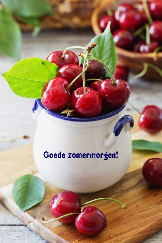 Goede zomermorgen!