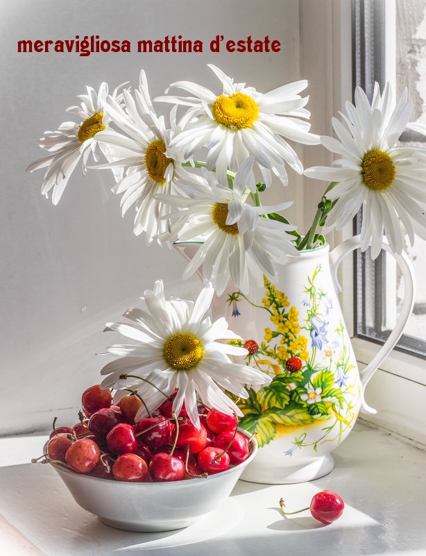 meravigliosa mattina d