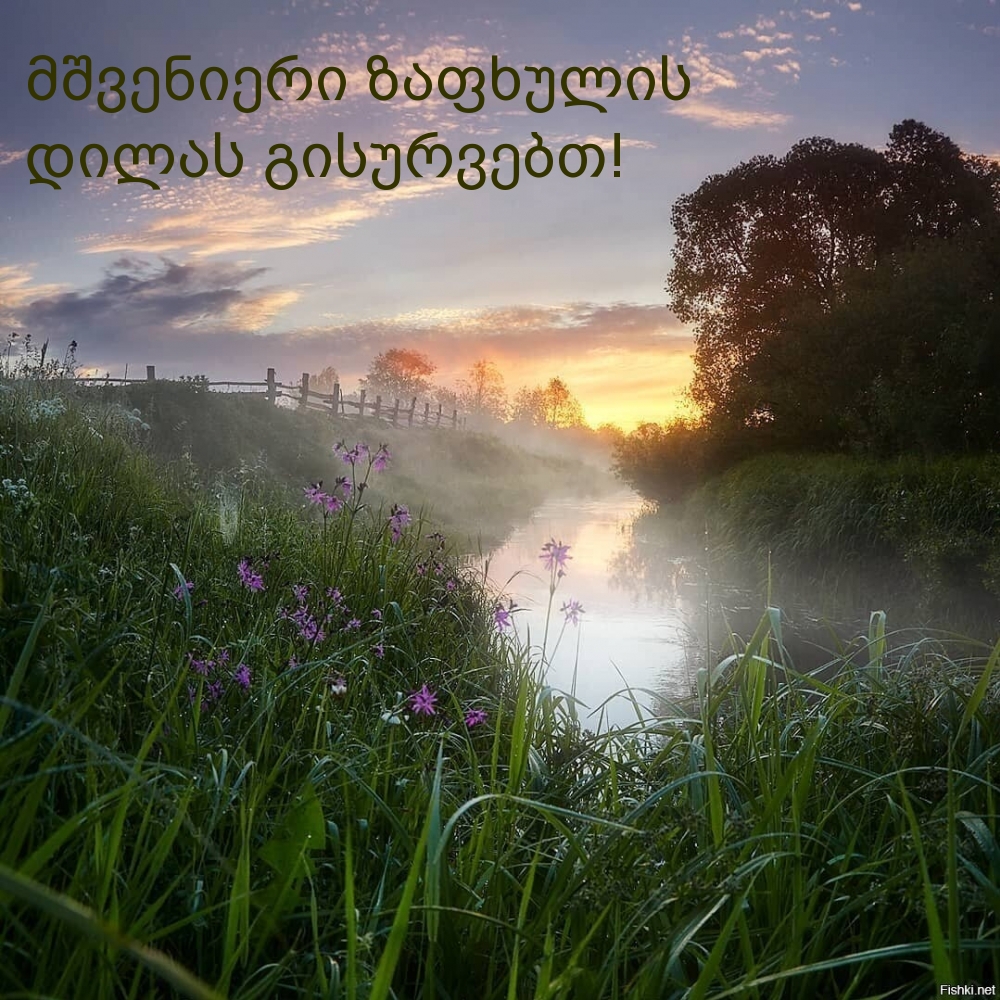 მშვენიერი ზაფხულის დილას გისურვებთ!