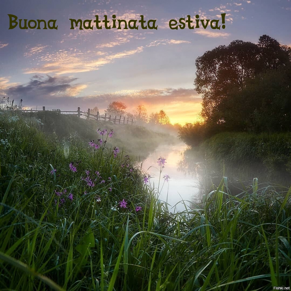 Buona mattinata estiva!