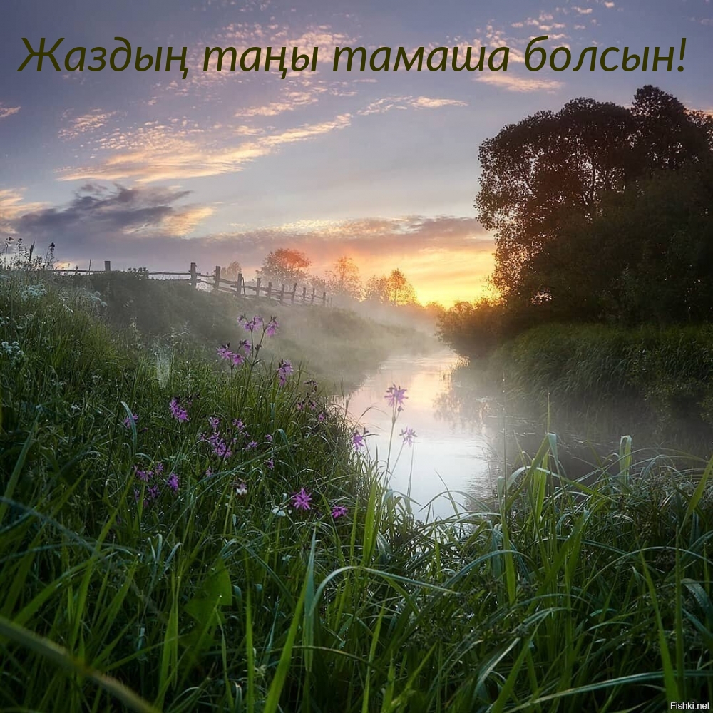 Жаздың таңы тамаша болсын!