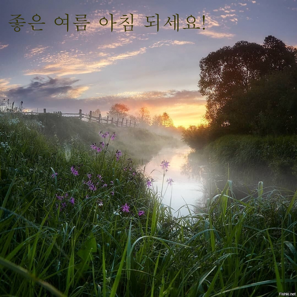 좋은 여름 아침 되세요!