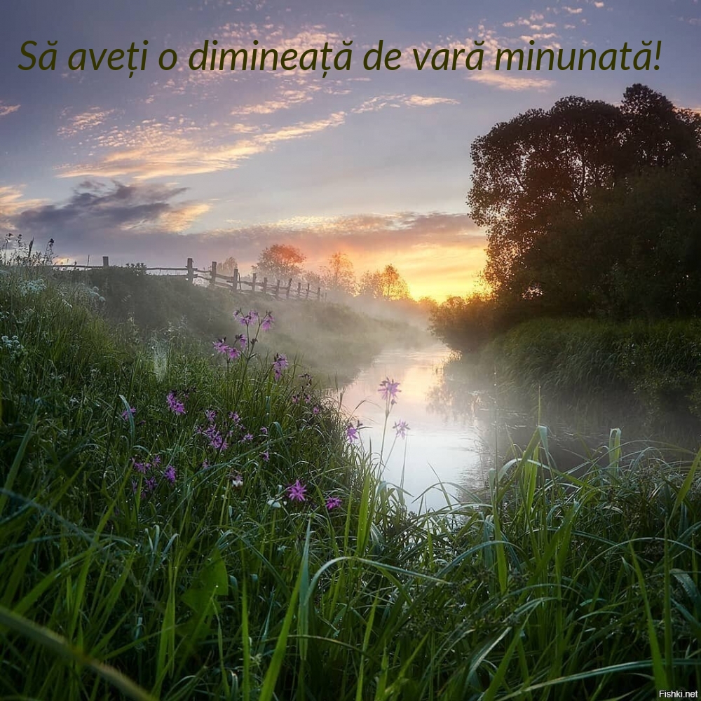 Să aveți o dimineață de vară minunată!