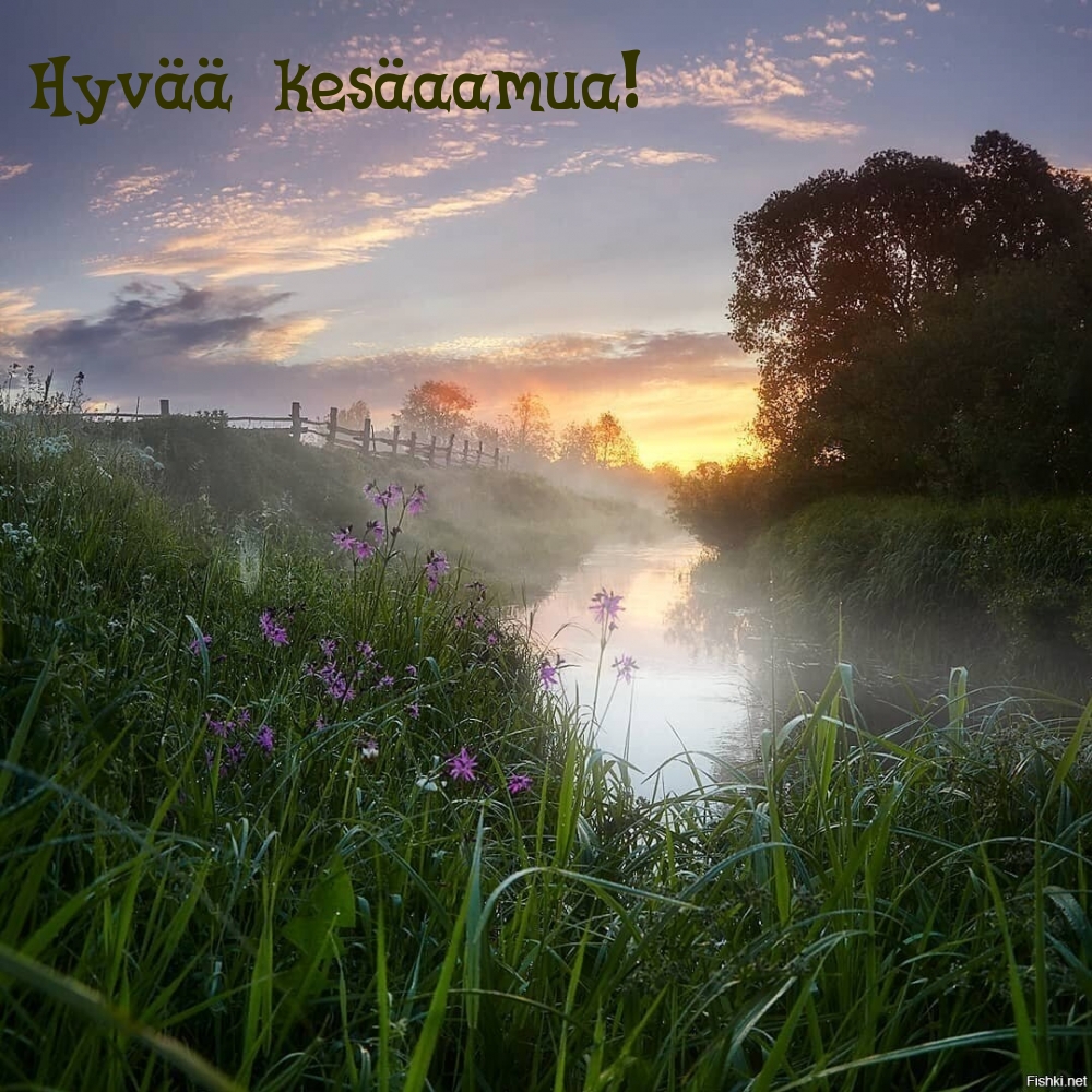 Hyvää kesäaamua!