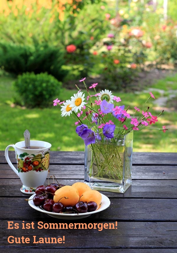 Es ist Sommermorgen! Gute Laune!