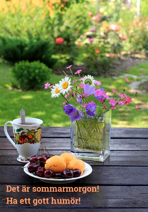 Det är sommarmorgon! Ha ett gott humör!