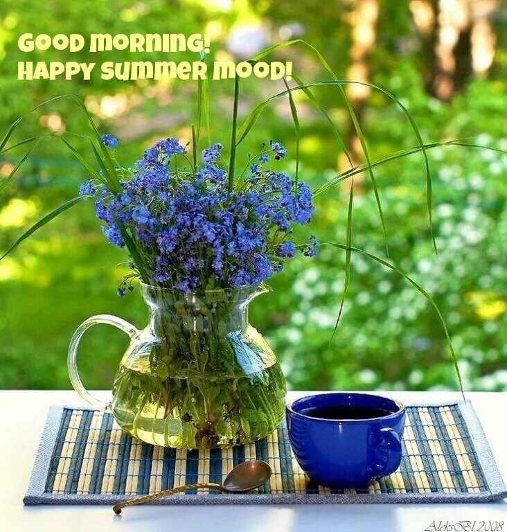 Good morning! Happy summer mood!