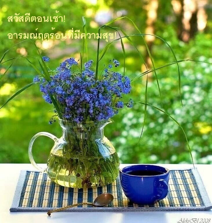สวัสดีตอนเช้า! อารมณ์ฤดูร้อนที่มีความสุข!