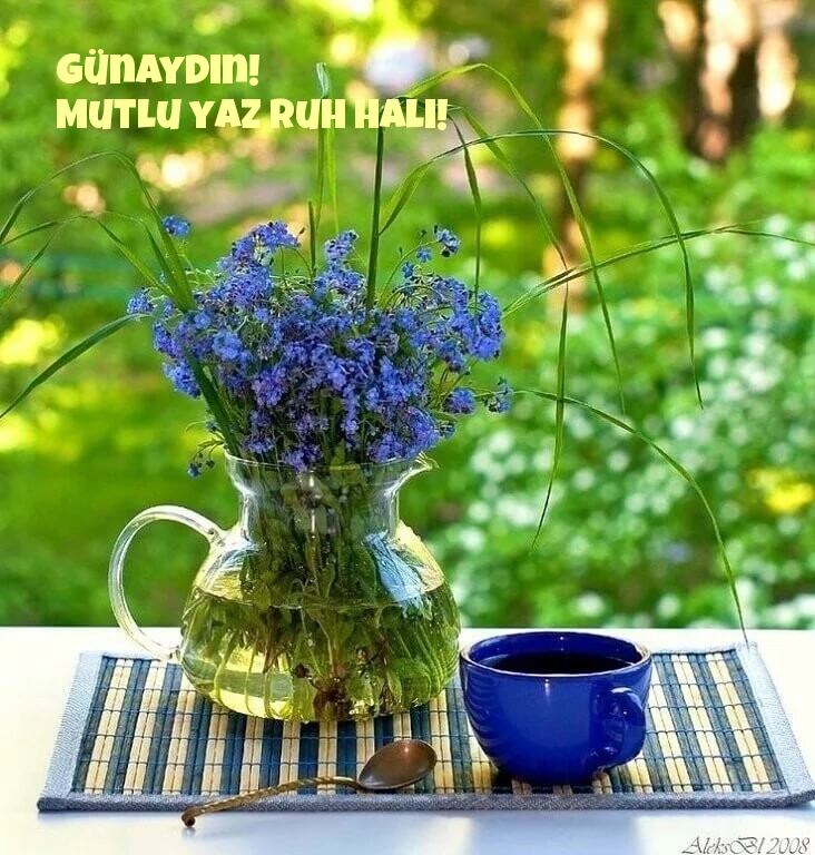 Günaydın! Mutlu yaz ruh hali!