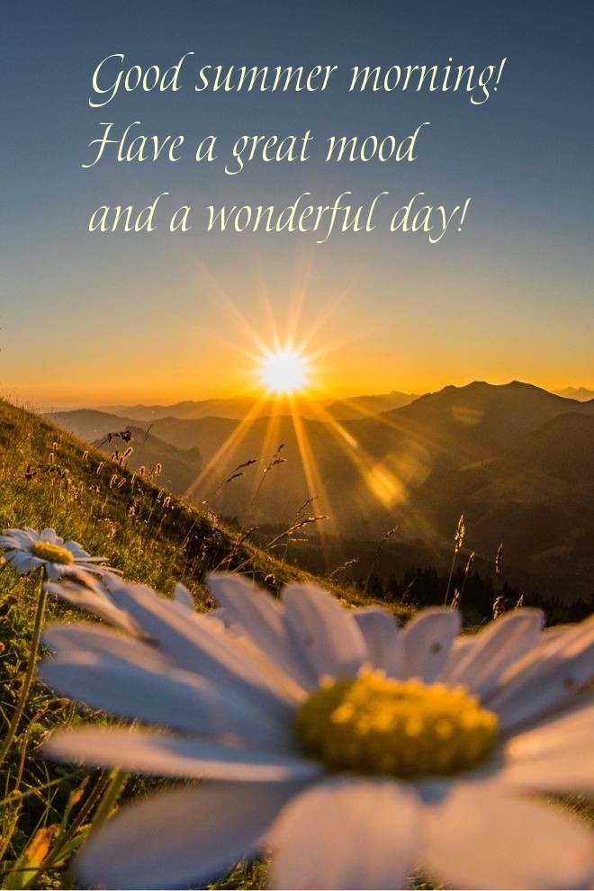 Good summer morning! Have a great mood and a wonderful day!
