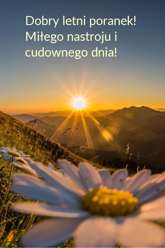 Dobry letni poranek! Miłego nastroju i cudownego dnia!